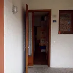 Apartamento Adorable Surrounded By Garden 650m From The Sea