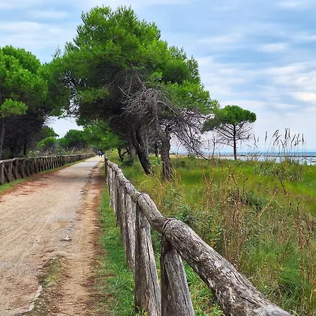 Διαμέρισμα Adorable Gardened 650M From The Beach