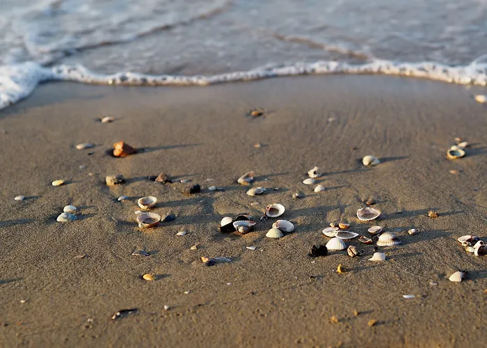 Apartment Adorable Surrounded By Garden 650m From The Sea