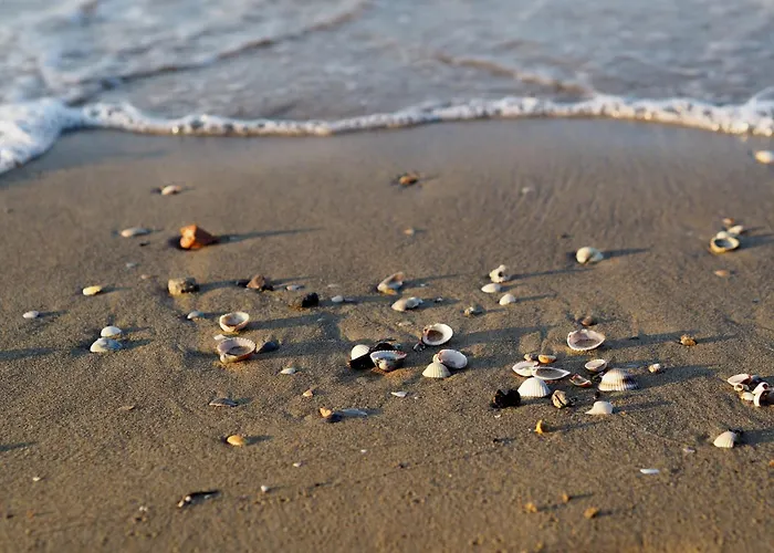 公寓 Adorable Surrounded By Garden 650m From The Sea *